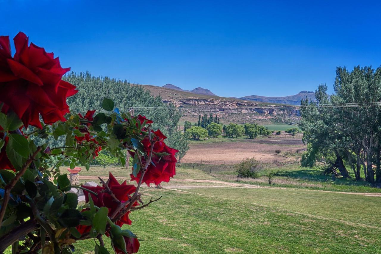 Linwood Guest Farm Guest House คลาเรนส์ ภายนอก รูปภาพ
